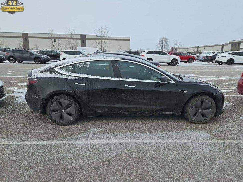 TESLA MODEL 3 2019 5YJ3E1EA5KF395559 image